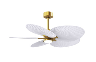 Matthews Fan Company - AKTPLK-BRBR-MWH - 48" Ceiling Fan - Alessandra Tropical - LK - Brushed Brass