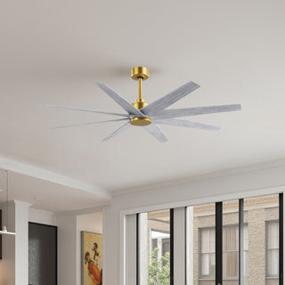 Matthews Fan Company - AN-BRBR-BW-64 - 64" Ceiling Fan - Ariella - Brushed Brass
