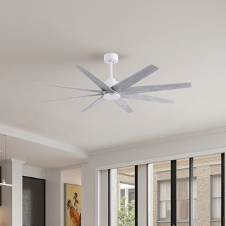 Matthews Fan Company - AN-MWH-BW-64 - 64" Ceiling Fan - Ariella - Matte White
