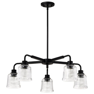 Nuvo Lighting - 60-8611 - Five Light Chandelier - Grayson - Matte Black