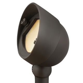 Hardy Island Accent Spot Light 12V Small LED 2.5w Wall Wash in Brass Satin Black