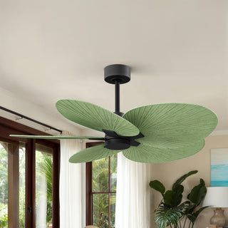 Alessandra Tropical Five Blade Ceiling Fan in Matte Black