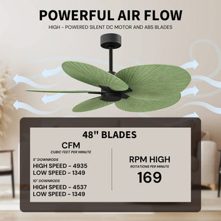 Alessandra Tropical Five Blade Ceiling Fan in Matte Black