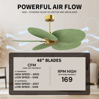 Alessandra Tropical Five Blade Ceiling Fan in Brushed Brass