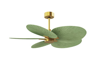 Matthews Fan Company - AKTP-BRBR-PL - Five Blade Ceiling Fan - Alessandra Tropical - Brushed Brass
