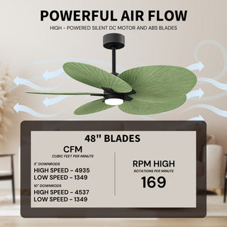 Alessandra Tropical - LK Five Blade Ceiling Fan in Matte Black