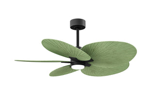 Matthews Fan Company - AKTPLK-BK-PL - Five Blade Ceiling Fan - Alessandra Tropical - LK - Matte Black