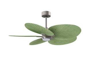 Alessandra Tropical - LK Five Blade Ceiling Fan in Brushed Nickel