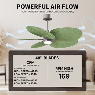 Alessandra Tropical - LK Five Blade Ceiling Fan in Brushed Nickel