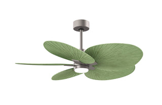 Matthews Fan Company - AKTPLK-BN-PL - Five Blade Ceiling Fan - Alessandra Tropical - LK - Brushed Nickel
