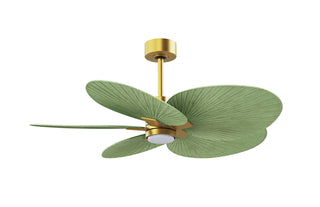 Alessandra Tropical - LK Five Blade Ceiling Fan in Brushed Brass