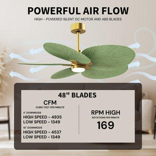 Alessandra Tropical - LK Five Blade Ceiling Fan in Brushed Brass