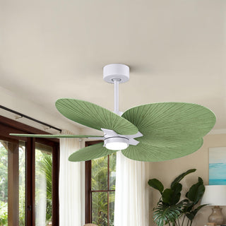 Alessandra Tropical - LK Five Blade Ceiling Fan in Matte White