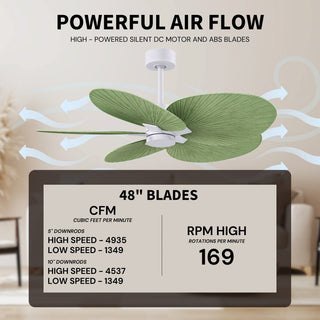 Alessandra Tropical Five Blade Ceiling Fan in Brushed Nickel