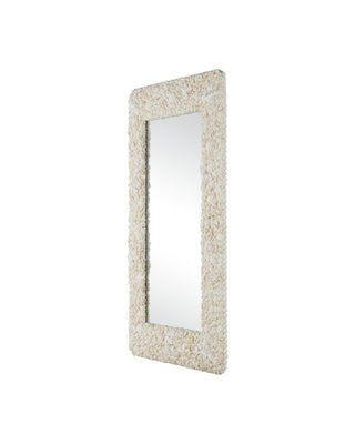 Turbinella Mirror in Natural