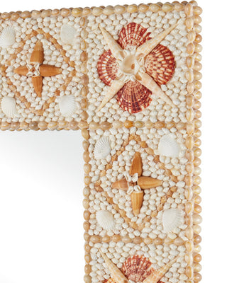 Junonia Mirror in Natural