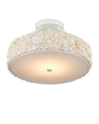 Turbinella LED Semi-Flush Mount in Natural/Sugar White/White