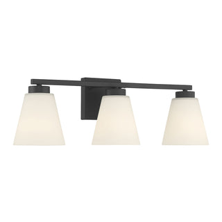 Millennium - 64003WG-MB - Three Light Vanity - Strayhan - Matte Black