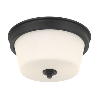 Millennium - 64102WG-MB - Two Light Flush Mount - Strayhan - Matte Black