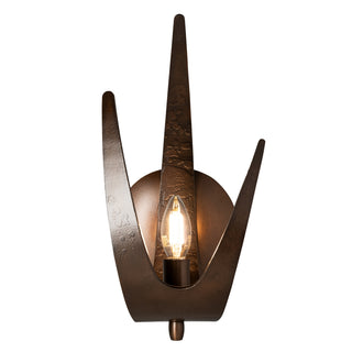 Hubbardton Forge - 204072-SKT-LFT-05 - Caribou 1-Light Sconce - Caribou - Bronze