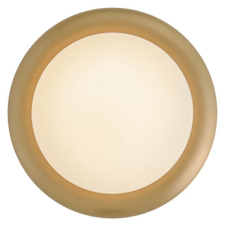 Noa LED Convertible Flush Mount in Lacquered Brass