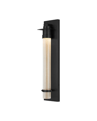 Currey and Company - 5500-0068 - LED Wall Sconce - Provence - Matte Black / Clear