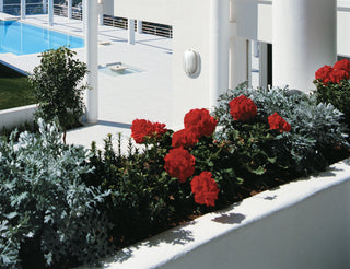 Die Cast Bulk Heads Semi Gloss White One Light Outdoor Bulk Head in Semi Gloss White