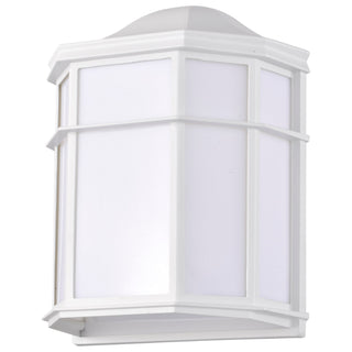 Cage Lantern One Light Wall Lantern in White
