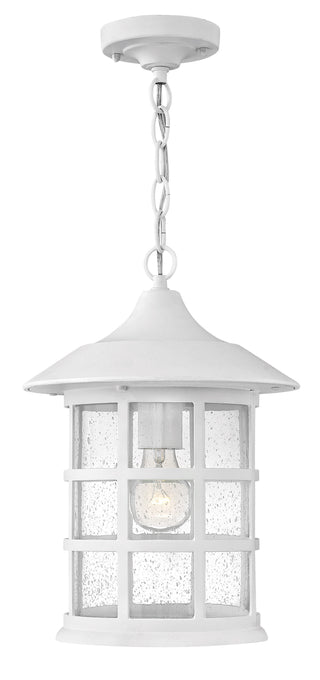 Freeport Coastal Elements Medium Hanging Lantern in Textured White
