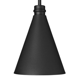 Axston 1-Light Outdoor Hanging Lantern Textured Black
