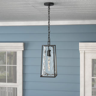 Dutton 1-Light Outdoor Hanging Lantern Powder Coated Black