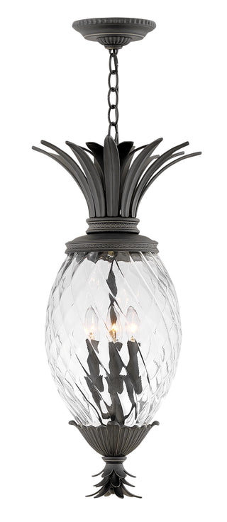 Plantation Large Hanging Lantern in Museum Black