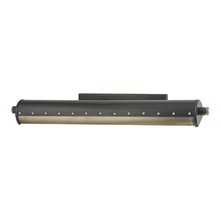 Gaines Picture Light with Aged Old Bronze Finish