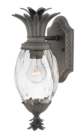 Plantation Medium Wall Mount Lantern in Museum Black