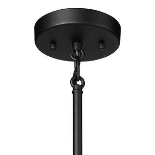 Axston 1-Light Outdoor Hanging Lantern Textured Black