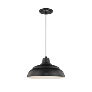 Millennium - RWHC14-SB - One Light Pendant - R Series - Satin Black