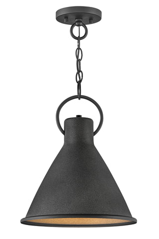 Winnie Medium Pendant in Aged Zinc
