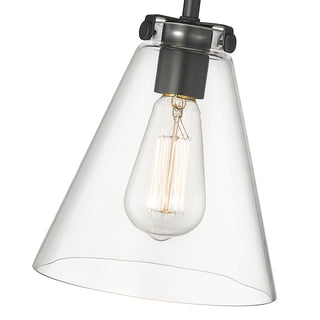 Aliza 1-Light Mini-Pendant Light Matte Black