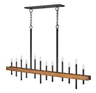 Wells Large Twelve Light Linear in Weathered Brass