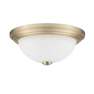 2-Light Flushmount Ceiling Light Modern Gold