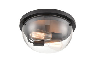 Ashford 2-Light Flushmount Ceiling - Matte Black