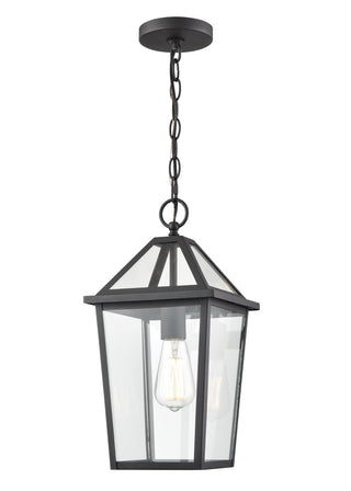 Eston 1-Light Outdoor Hanging Lantern Textured Black