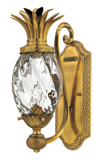 Plantation Medium Single Light Sconce in Burnished Brass