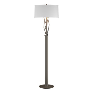 Hubbardton Forge - 237660-SKT-07-SF1899 - Brindille Floor Lamp - Brindille - Dark Smoke