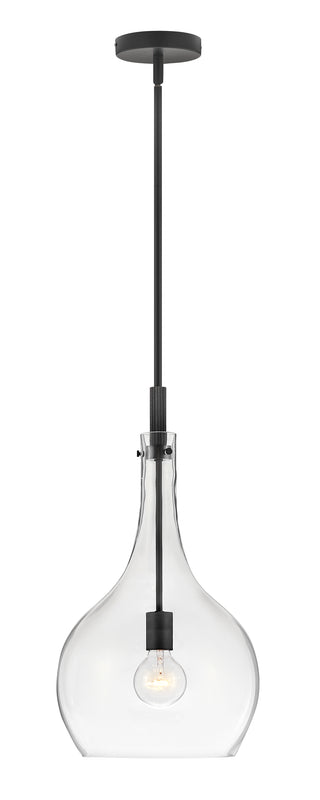 Ziggy Medium Pendant in Black