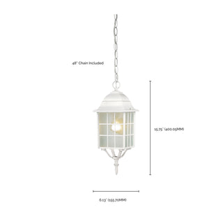 Adams One Light Hanging Lantern in White