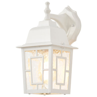 Banyan One Light Wall Lantern in White