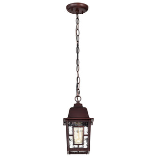 Banyan One Light Hanging Lantern in Rustic Bronze