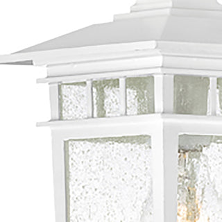 Cove Neck One Light Wall Lantern in White
