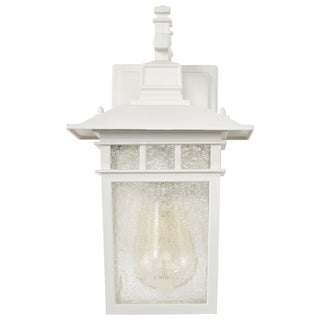 Cove Neck One Light Wall Lantern in White